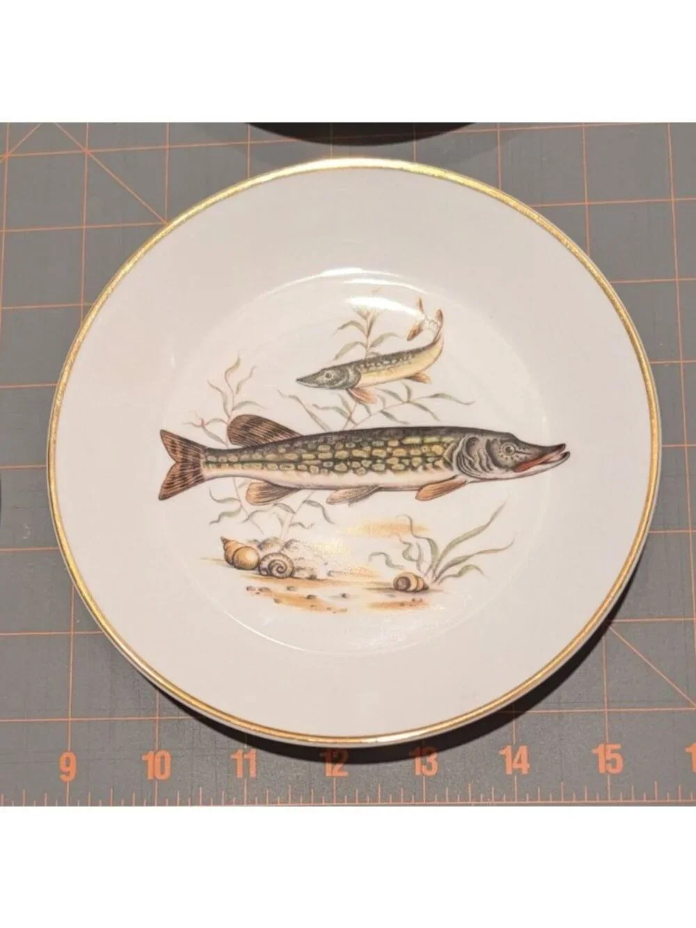 Vtg Fish Porcelain Serving Plate & Appetizer Dish Set - (6) Awesome Colors